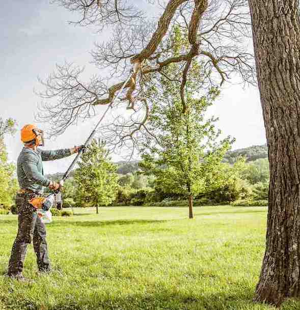 tree cutting service